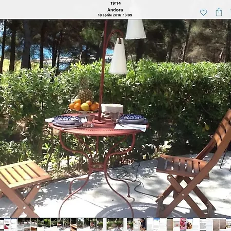 Don Rodrigo Apartmán Marina dʼAndora