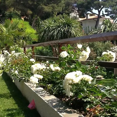 Apartman Don Rodrigo *